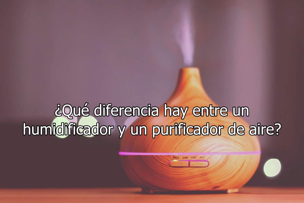 ¿Qué diferencia hay entre un humidificador y un purificador de aire?