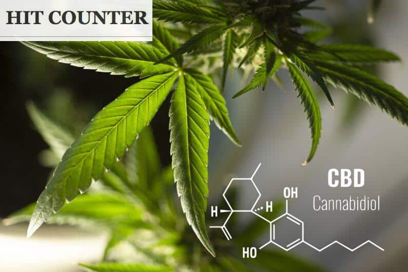 Legalidad del CBD en España