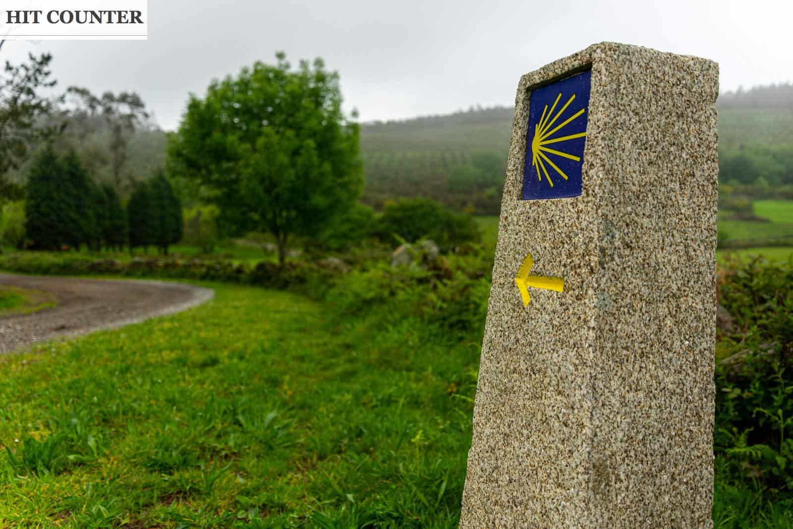 El Impacto del Camino Portugués desde Tui