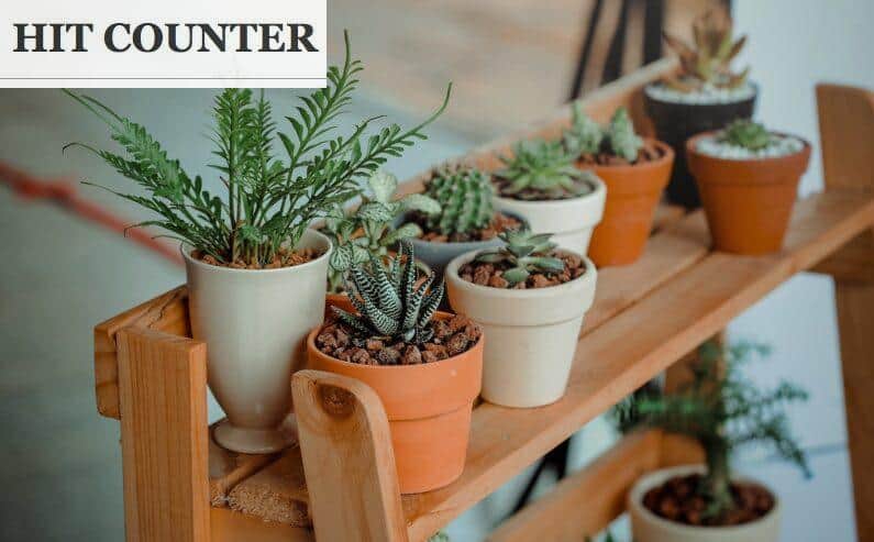 plantas