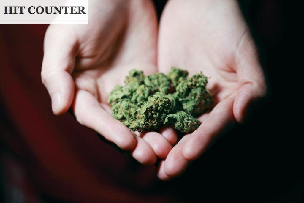Las leyes y el consumo de cannabis en España: ¿És legal fumar?