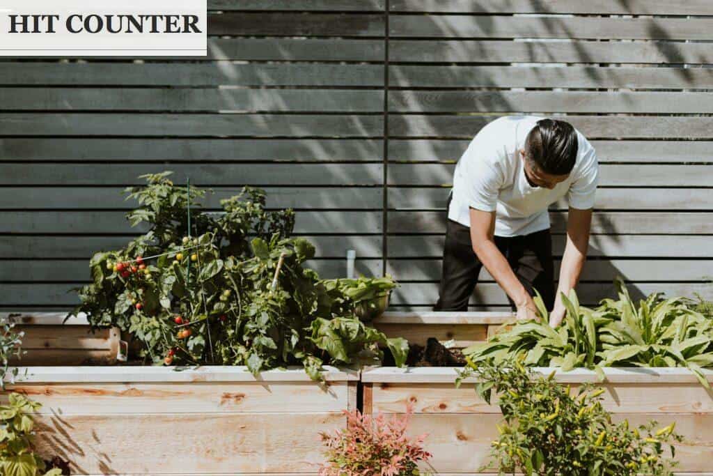 crear un huerto urbano en casa
