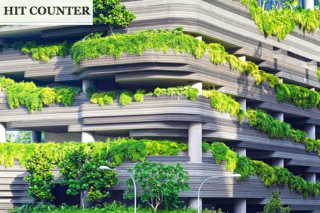 gray concrete building covered trees